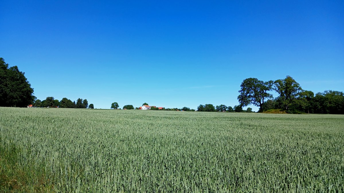 20260625_122729.jpg