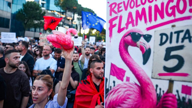 Flamingos vs Kushner: Albania erupts over luxury resort plan