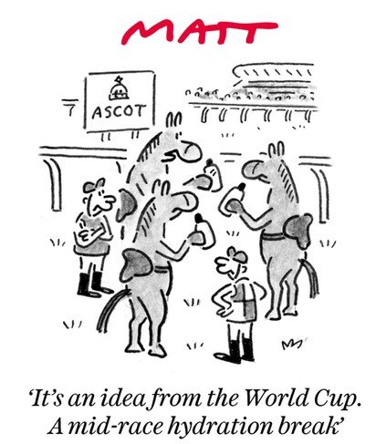 Ascot_Matt.jpg