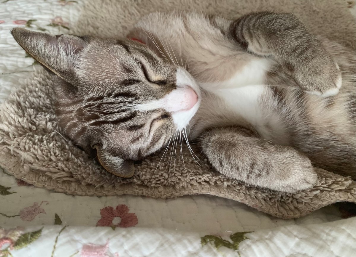 Caramel.jpg