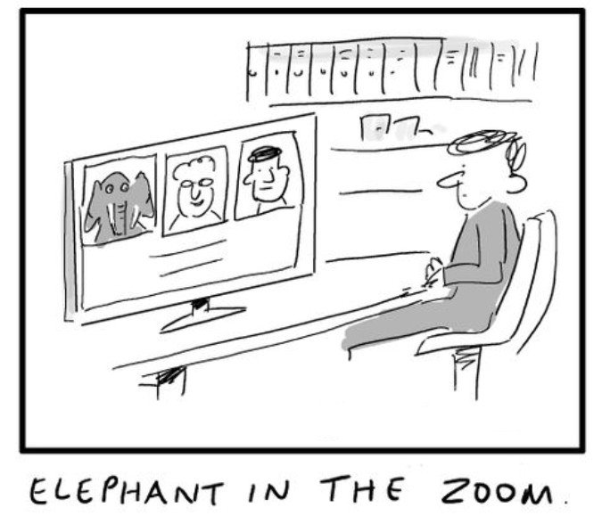 ElephantInTheZoom.jpg