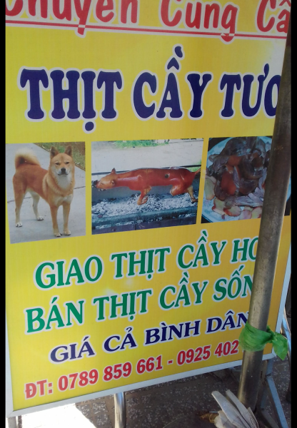 Vietnam Police Rescue Hundreds of Cats From Slaughter