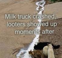 Milk.jpg