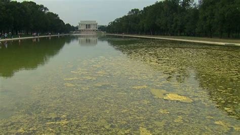 Trump faces heat over reflecting pool ‘sabotage’ claims