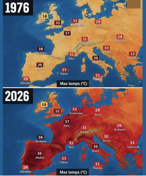 Screenshot 2026-06-29 at 17.12.20.png
