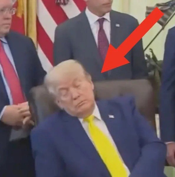 Sleepy Donnie.jpg