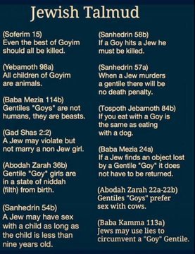 Talmud Quotes.jpeg