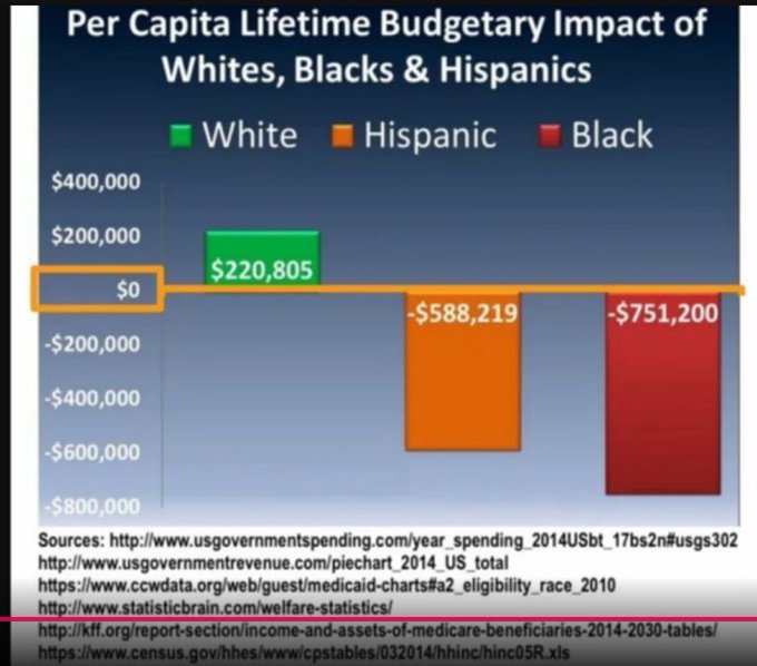 US Per Capita Lifetime Budgetary Impact of Whites, Blacks, Hispanics.jpeg