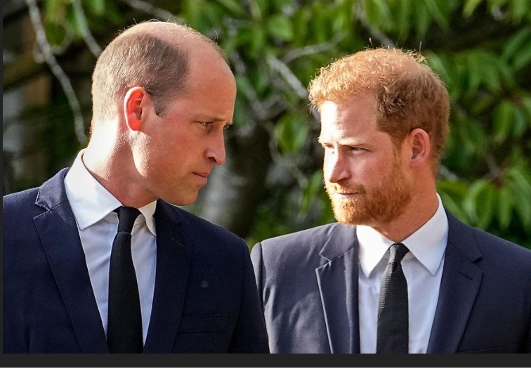 King Warned: Bring Harry Home And William Could Explode