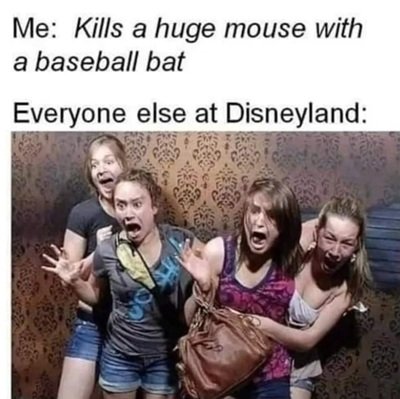 bat.jpg