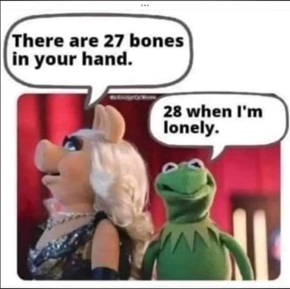 bones.jpg