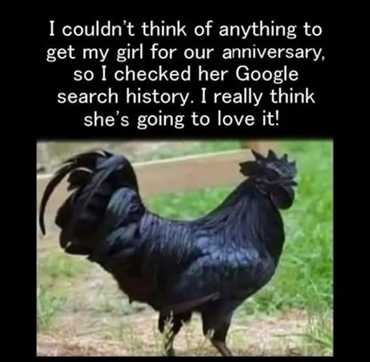 cock.jpg