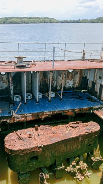m1.jpg