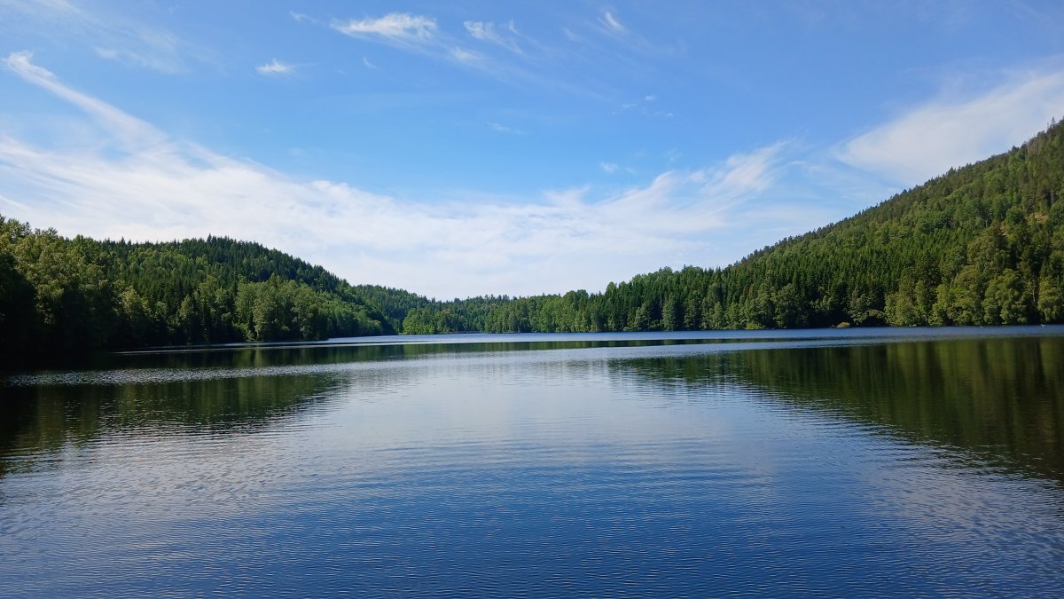 20260630_113946.jpg