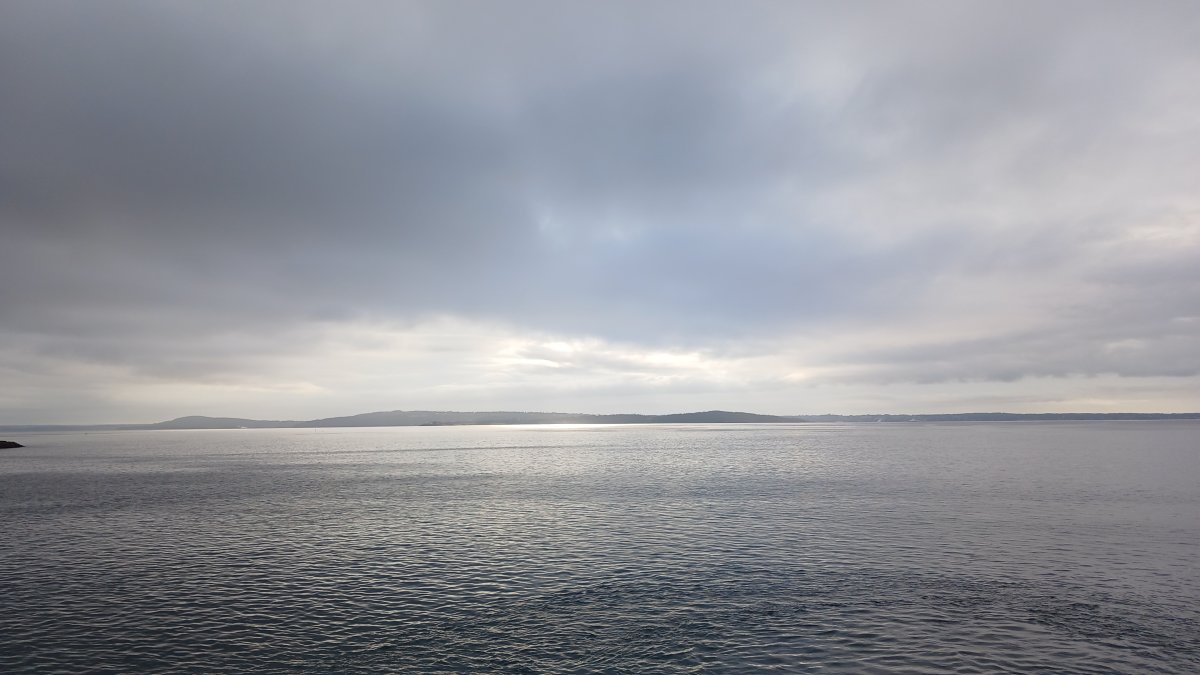 20260701_063802.jpg