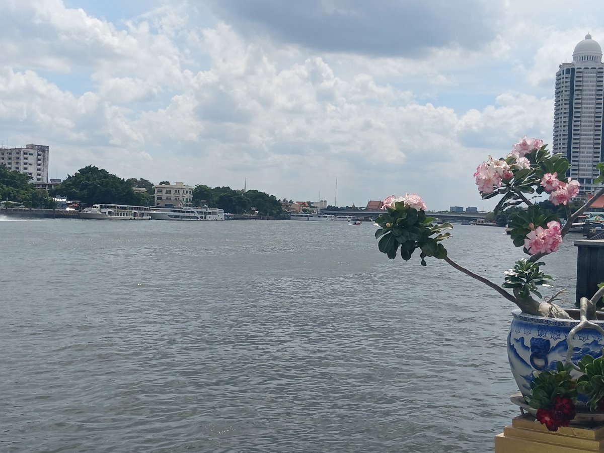 20260721_141421.jpg