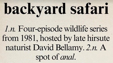 BackYardSafari.jpg