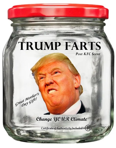 trumps poo flown back from turkey