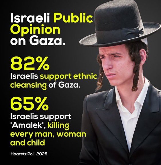 Israeli Public Opinion Haaretz 2025.jpeg