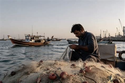 Fragile calm returns to Hormuz as war scars remain