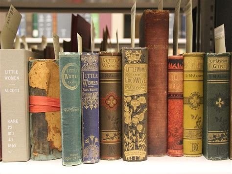 AI's book hunt sparks secret destruction fears