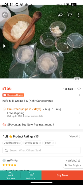 Where to buy fresh milk kefir grains and Scoby in Pattaya?