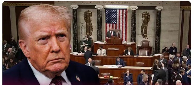 Judge blocks Trump immigration freeze in scathing court ruling