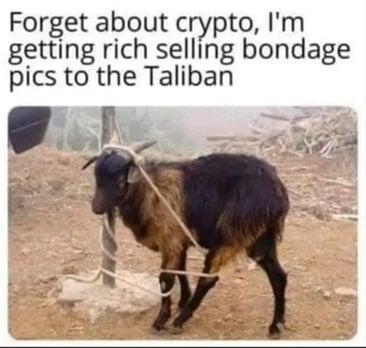 bond.jpg