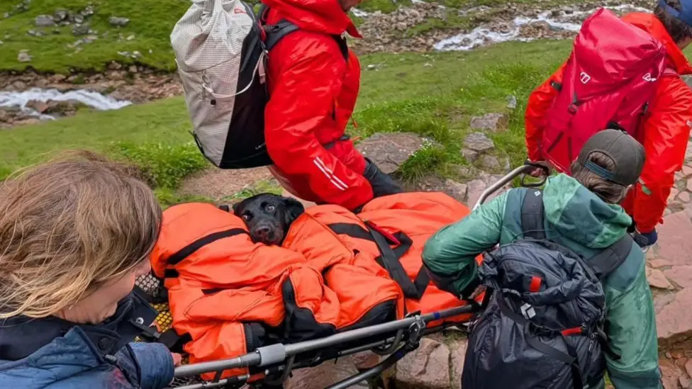 'Tokyo' overdoses on Ben Nevis