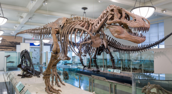 T. rex fossil sells for record £37.4m, worlds most expensive dinosaur