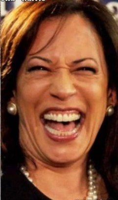 kamala-hyena-harris-329179-1-480x451.jpg