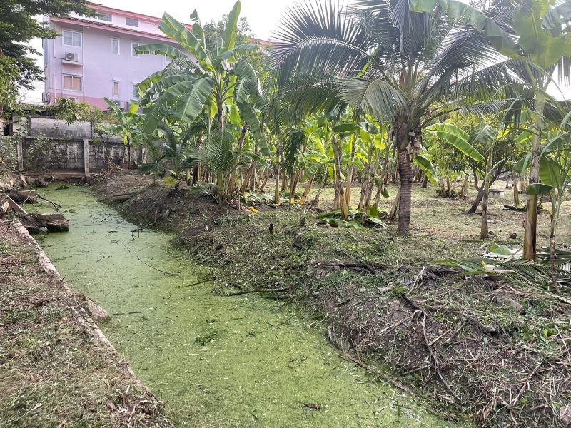 klong on land.jpg