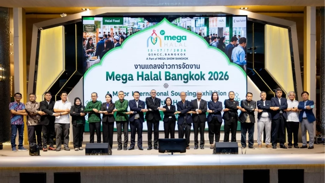 mega (1).webp