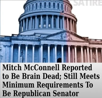 mitch.jpg
