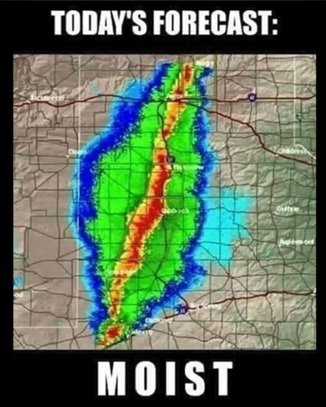 moist.jpg