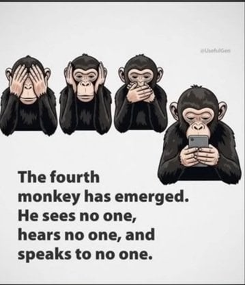 monkey.jpg