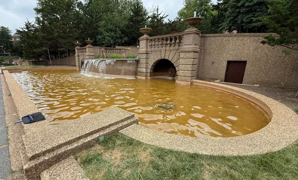 more brown water.webp