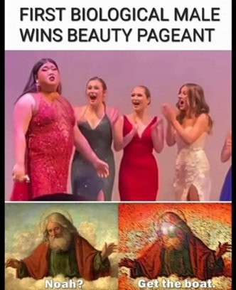 noah.jpg