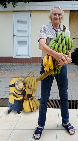 banana for brekkers ?