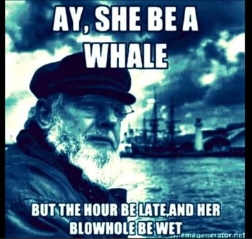 whale.jpg