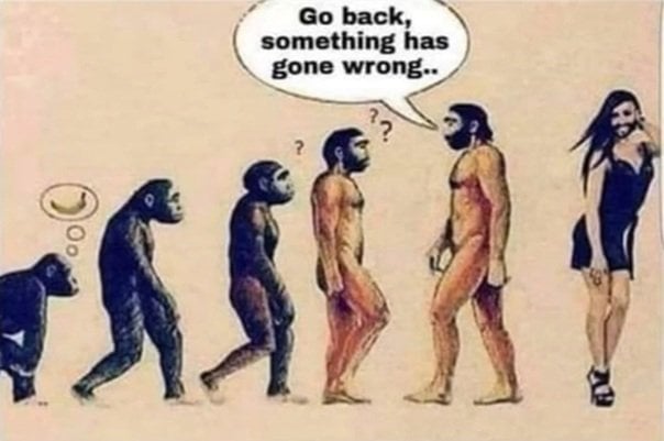 wrong.jpg