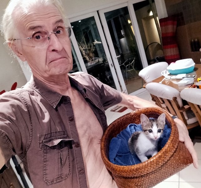 20260606)wIMG20260605193028_New_cat.jpg