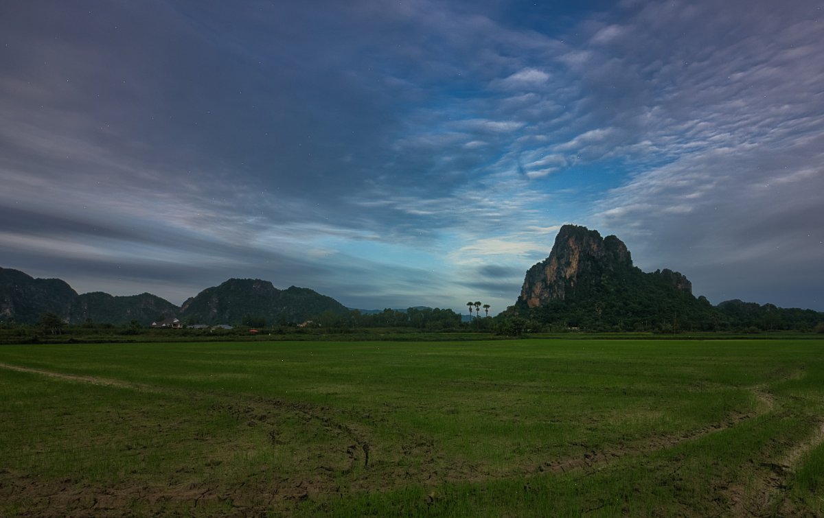B0003178.jpg