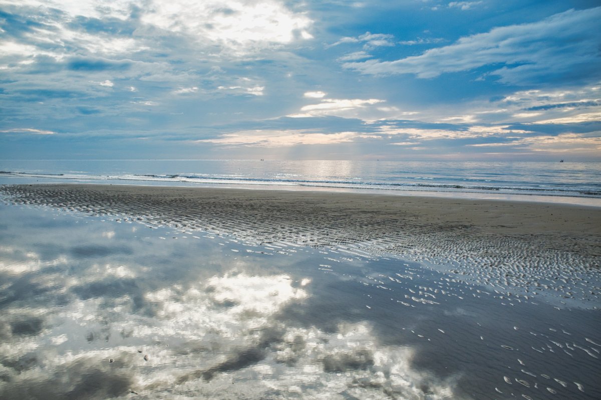 DSCF7149.jpg
