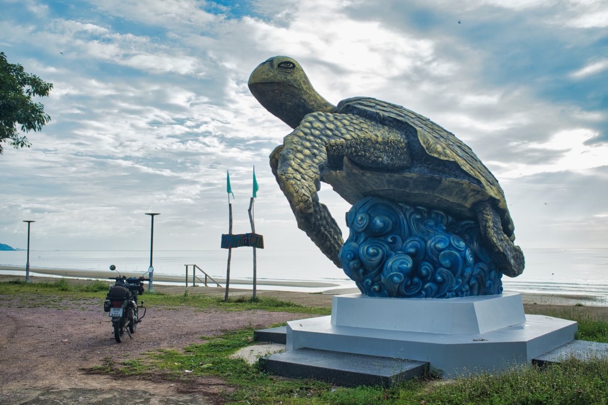 DSCF7151.jpg