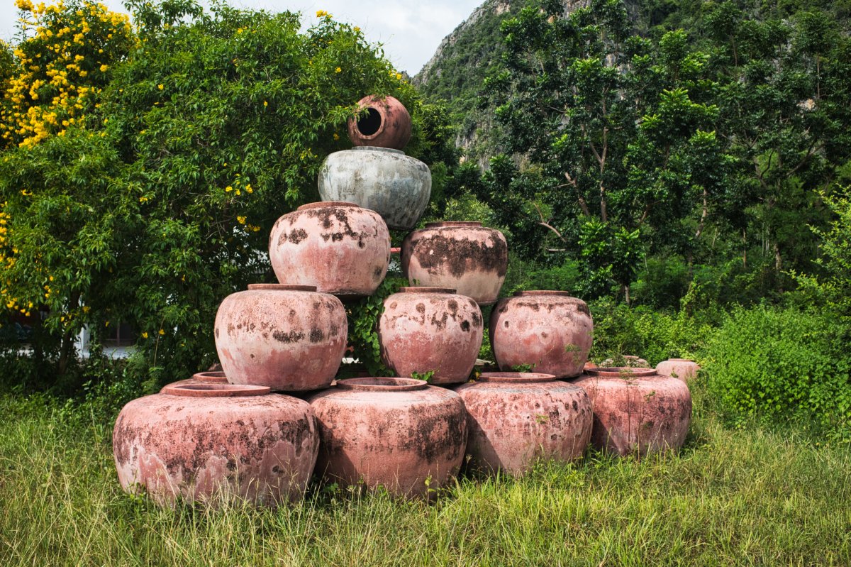 DSCF7178.jpg
