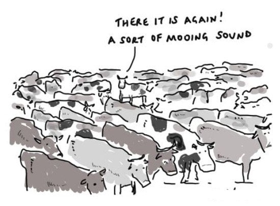 MooingSOund.jpg