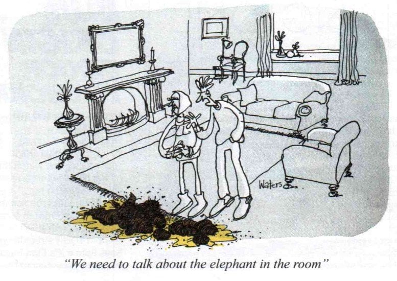 NeedToTalkAboutTheElephant.jpg