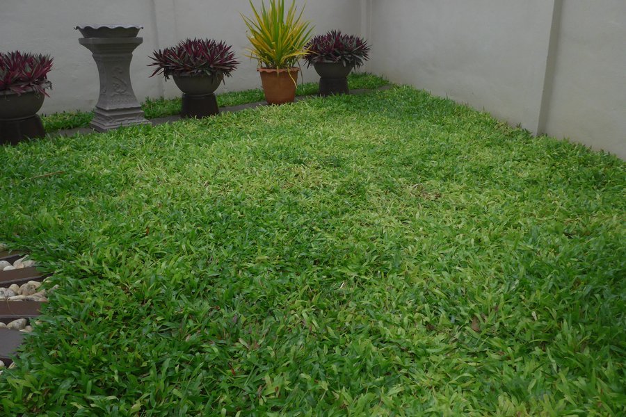 P1130765.jpg