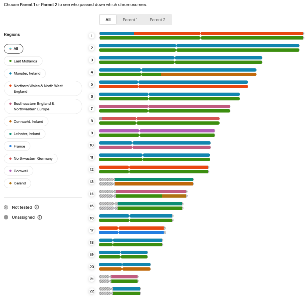 Screenshot 2026-08-23 at 10-27-57 Chromosome painter - AncestryDNA®.png